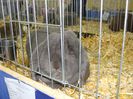 DSC05896