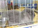 DSC05897