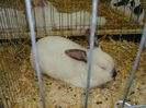 DSC05905