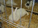 DSC05906