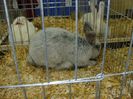 DSC05907