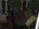 28.02...cand nu ninge...ploua