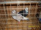 IMG_0053