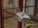 IMG_0058