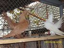 IMG_0076