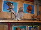 IMG_0125