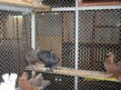 IMG_0126