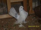 IMG_0208