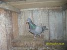 IMG_0219