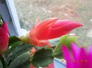 DSCN2709