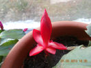 DSCN2710