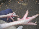 Picture 174