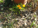 DSCF0142