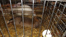 DSCF0445
