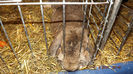 DSCF0448