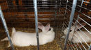 DSCF0464