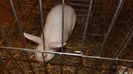 DSCF0477