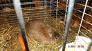 DSCF0484