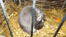 DSCF0485