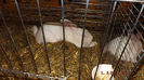 DSCF0487
