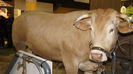 DSCF0536