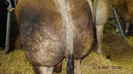 DSCF0551