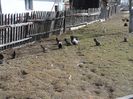 SAM_3307