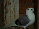 SAM_0459