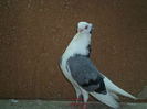 SAM_1202