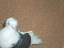 SAM_1212