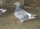 IMG_0204 f 2012