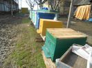 Picture 004