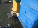 Picture 007