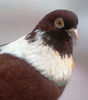 P1016837
