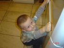 Picture 1286
