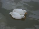 DSC00802
