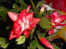 DSCN2717