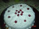 TORT DE ZAHAR ARS...