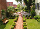 buxus pe alee
