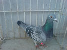 Ro-2012 0029726 vandut