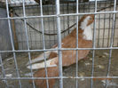P3030491