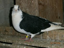 P3030544
