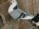P3030587