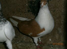 P3030630
