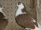 P3030635
