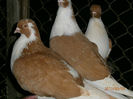 P3030662