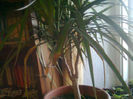Picture 058