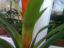 Picture 061