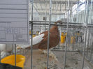 P3030213