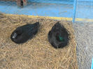 P3030383
